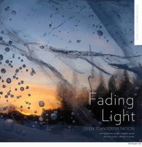 Fading_Light_Cover_8x8_72dpi.jpg.w300h311